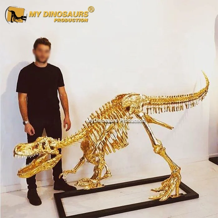 dinosaur skeleton life size