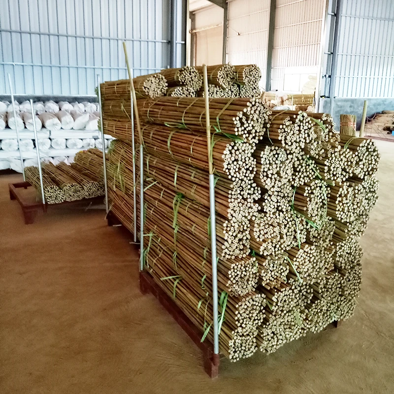 Sunbelt Bamboo Sticks Plant For Incense Bamboo Marshmellow Sticks