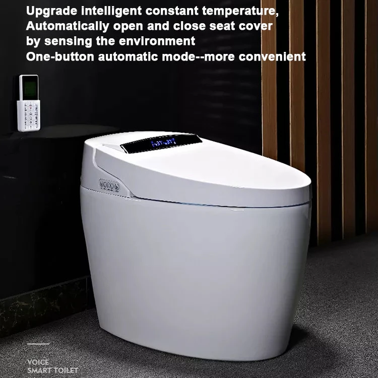 Modern Luxury Sanitary Floor Mounting Toilet Seat Bathroom One Piece ...