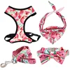 /product-detail/watermelon-pet-dog-harness-with-collar-bowtie-for-dog-cat-necklace-with-metal-buckle-for-pet-gifts-62284848718.html
