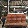 circular clay brick tunnel rotary kiln plant coal dryer kiln for ceramics brick drying firing process in South Africa
