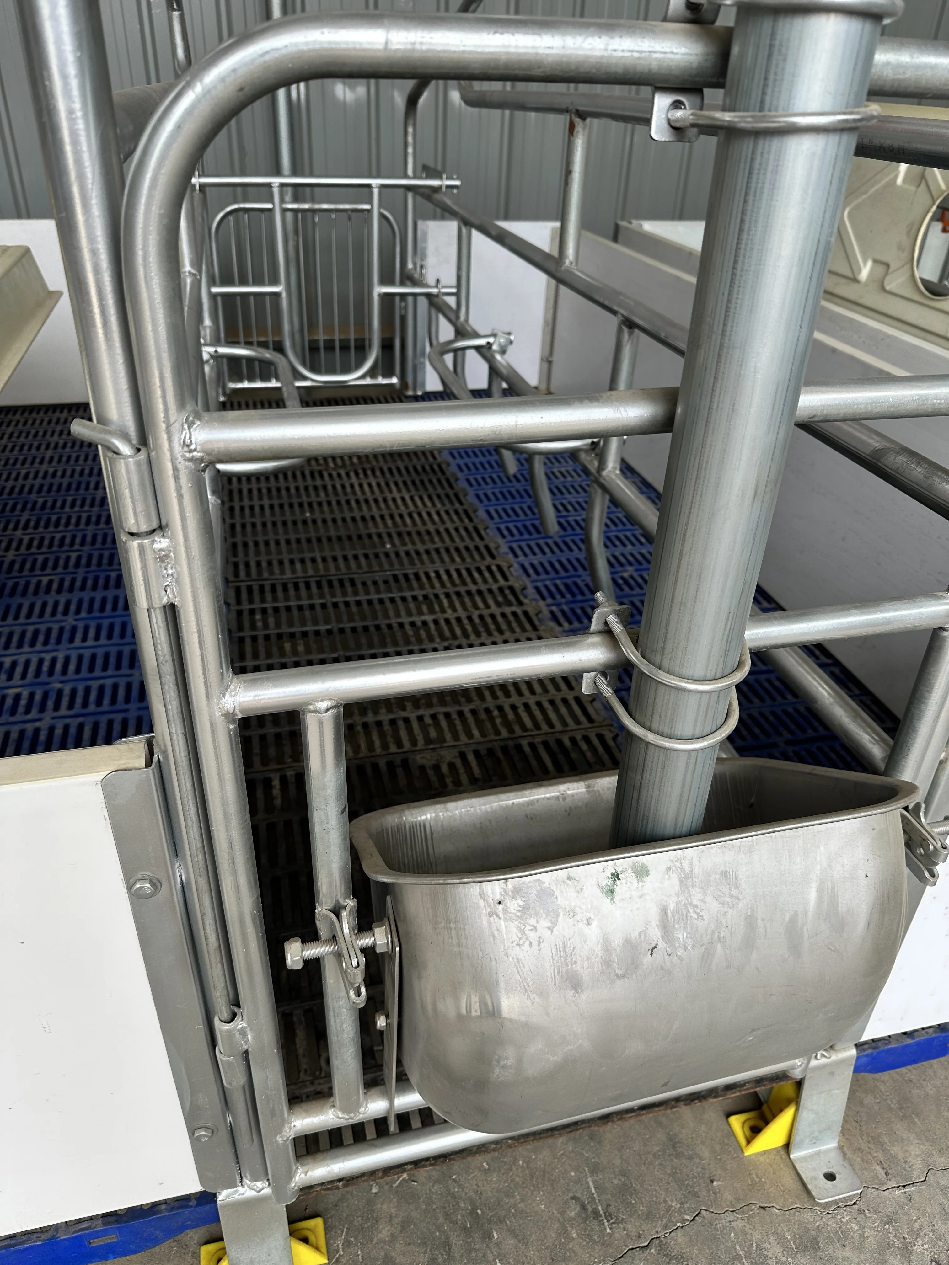 Cheap Sow Farrowing Pens Pig Double Farrowing Crates Product For Sale