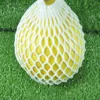Specialty PEP foam fresh fruit protection network