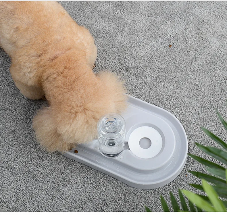 Double Wholesale Personalized Pet Feeding Water Food Stainless Steel