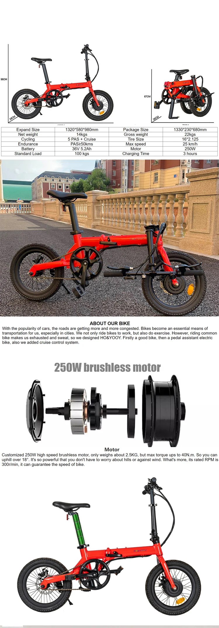 tailg electric bike for sale