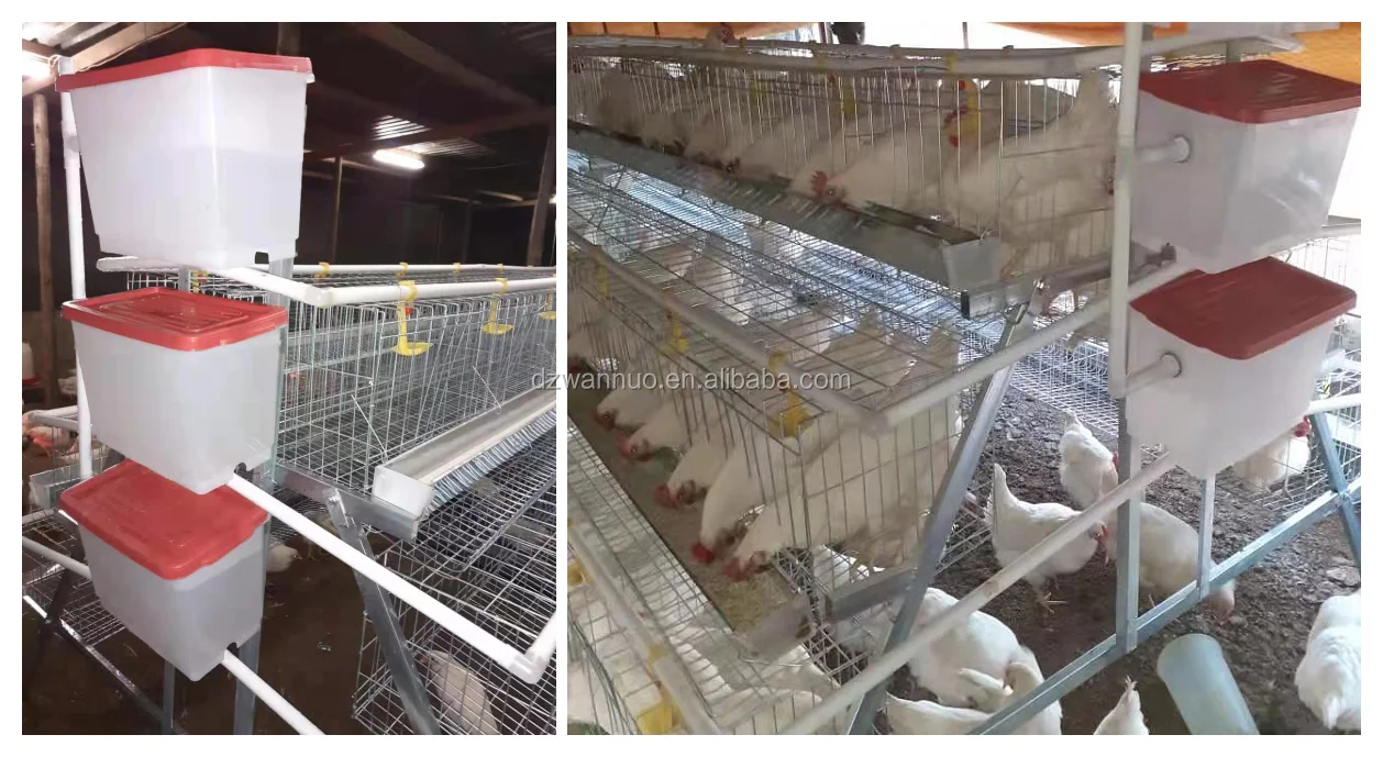 Hot Sale Layer Chicken Cage For Kenya/nigeria/tanzania/uganda Farm Buy Chicken Cage,Layer