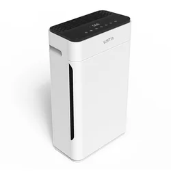 air purifier smoke