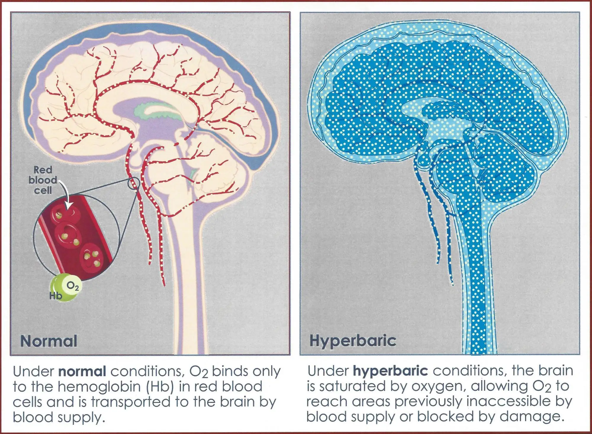 Кислород через мозг. Brain and Oxygen. Кислород в мозг упражнения.