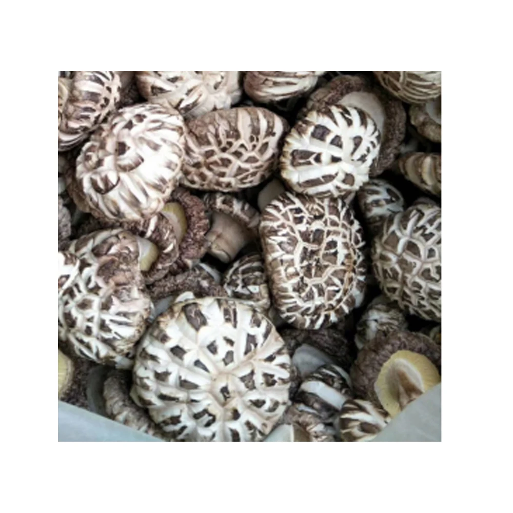 
Dietary fiber longevity umami cultivated raw organic dried shiitake mushroom 