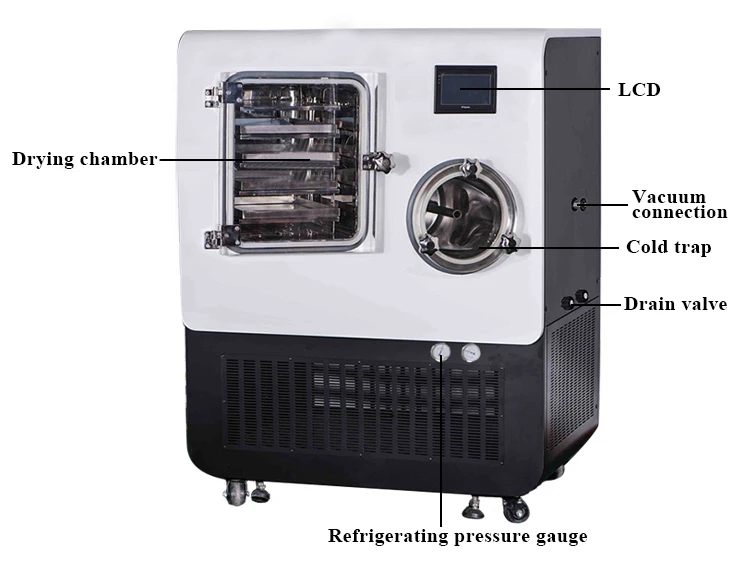 Pilot Freeze Dryer Freeze Drying Machine Pharmaceutical Lyophilizer