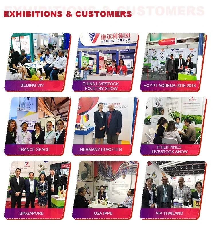 exhibition and customers