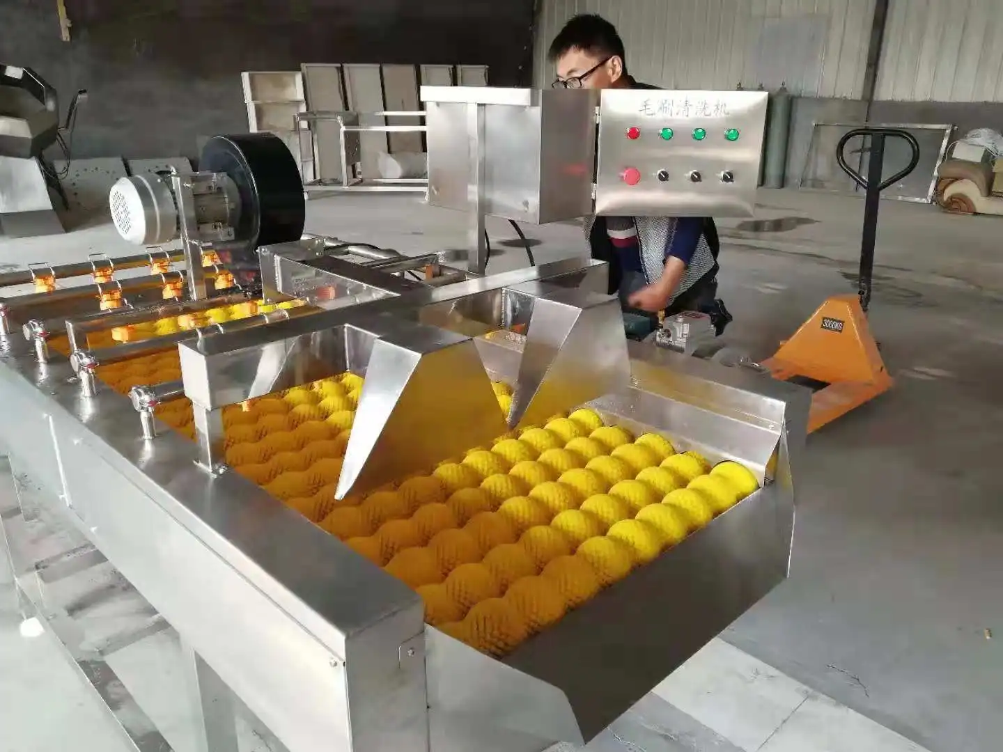 lemon washing machine  (2)