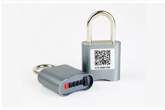 Widely Use Smart Cerradura inteligente Padlock, Stainless Chain Door Lock with Loud Anti-theft Alarm