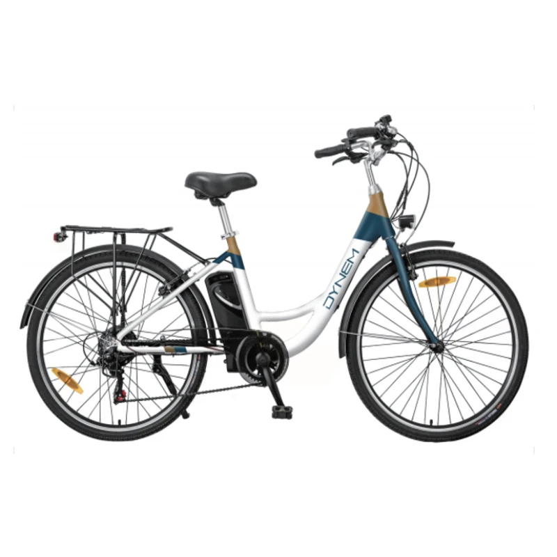 250w ebike manufacturer