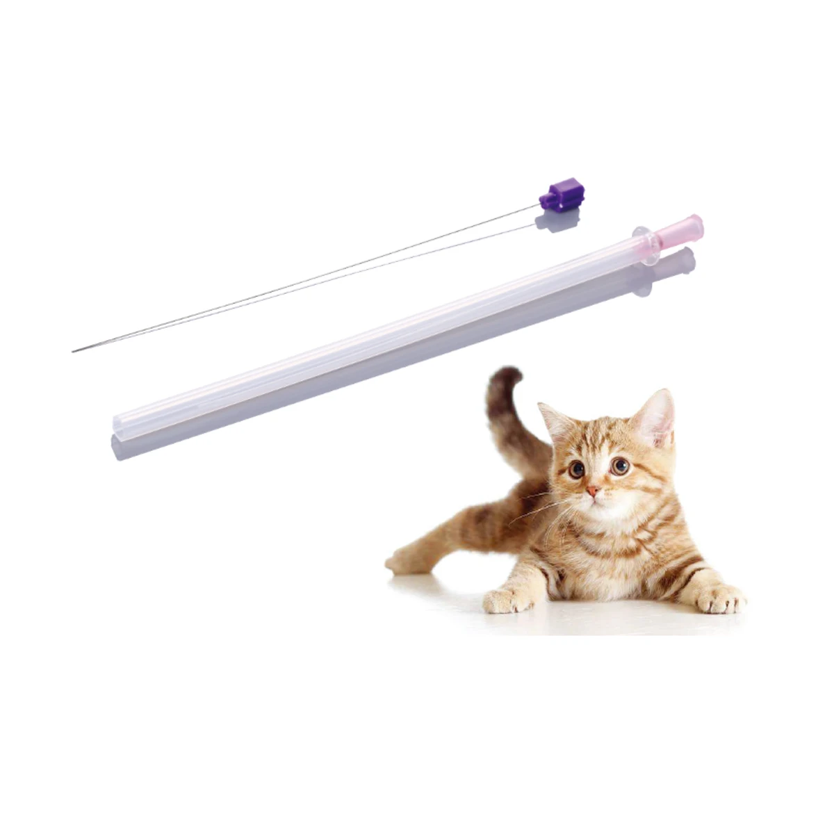 Disposable Pvc Veterinary Urine Catheter Pet Dog Cat Urinary Catheter