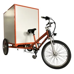 trike cargo rickshaw pedal bike
