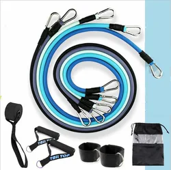 2022 New Design Resistance Band 11 Pieces Set Home Gym Fitness Resistance Exercise Bands With Carabiners