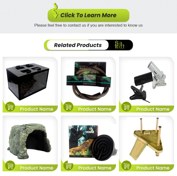 Home Garden Transparent Terrarium Pet Reptile Display Cage Reptile