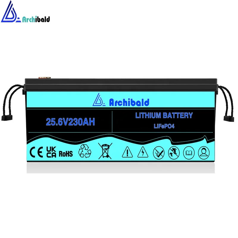 LiTime Group 24 100Ah battery installed in standard RV battery tray