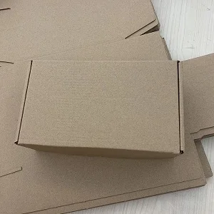 brown paper box.jpg