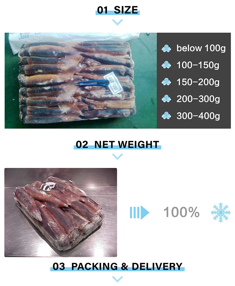150_-1_02.jpg