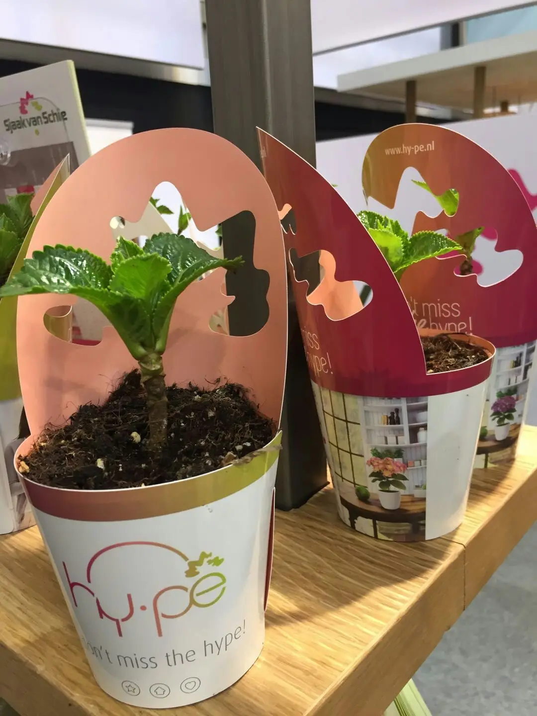 Folding Plastic Garden Printing Plant Pot Cover,Flower Plant Pots Wraps