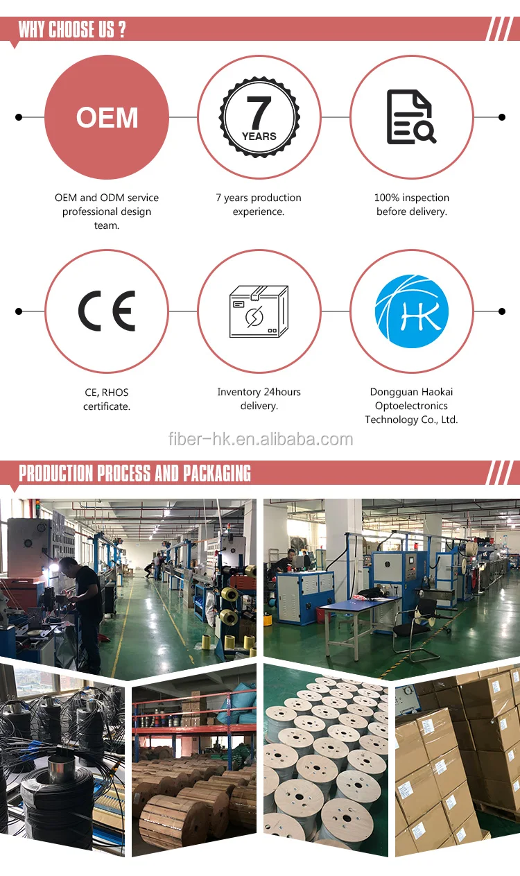 Single Mode Outdoor Nepal Optical Able Manufacturer G662d 12 Core Gyxtw Fiber Optic Cable