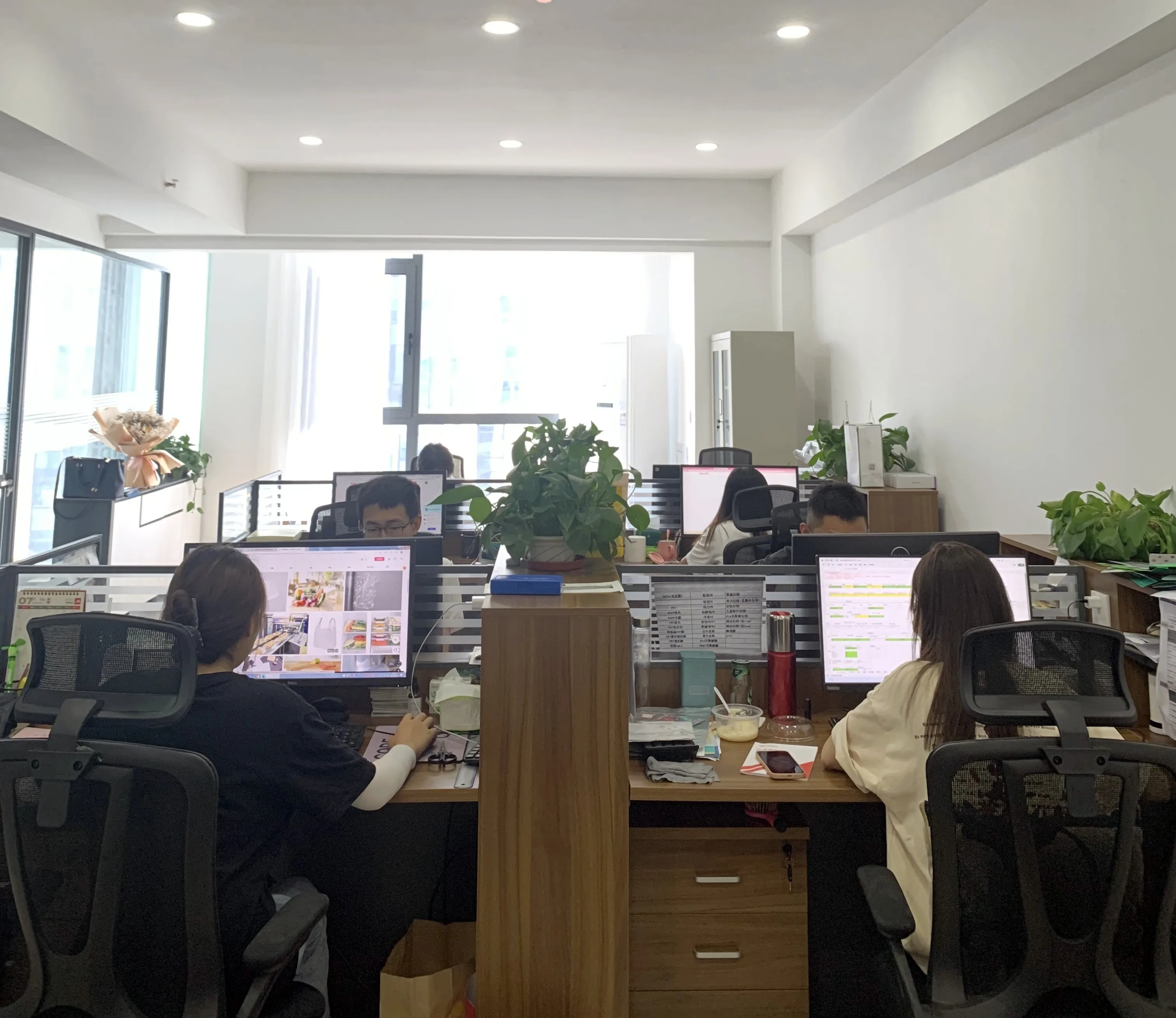 Custom Pet Treats Packaging Packaging Ziplock Dog Food Stand Up Pouch