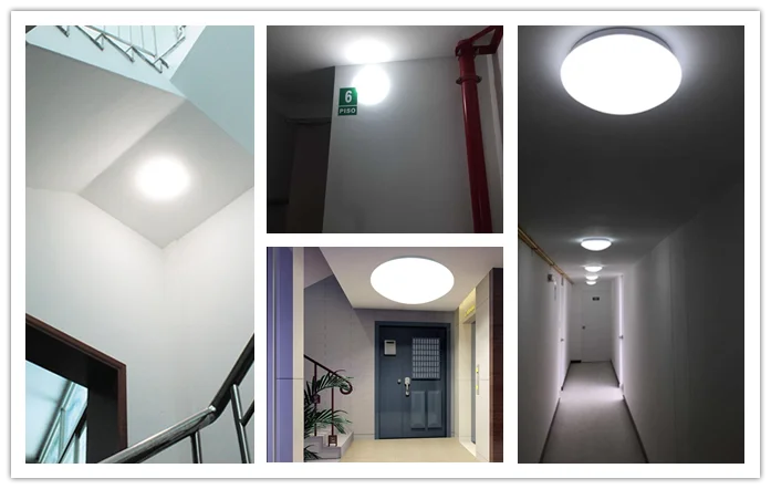 emergency  ceiling light.png