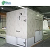 chicken thing live grouper industrial freezer room blast freezer for sale container as cold room