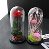 Hot Sale Wall Forever Rose Preserved Everlasting Rose, Preserved Flowers Eternal Rose Gifts Valentine Day Flower for wedding
