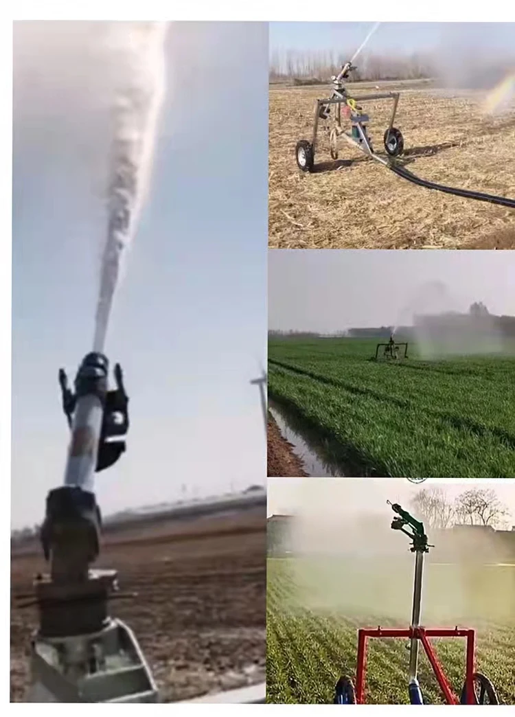 Sprinkler Spray Machine With Water Pump/hose Reel Irrigation System For ...