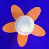 China Hydroxy propyl methyl cellulose/tylose powder Setaky group