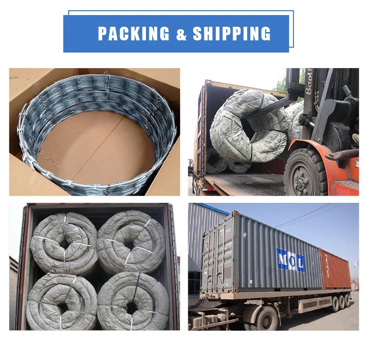 900mm Coil Diameter Razor Barbed Wire Buy Razor Wire Trap,Mesh Razor Wire,Prop Razor Wire