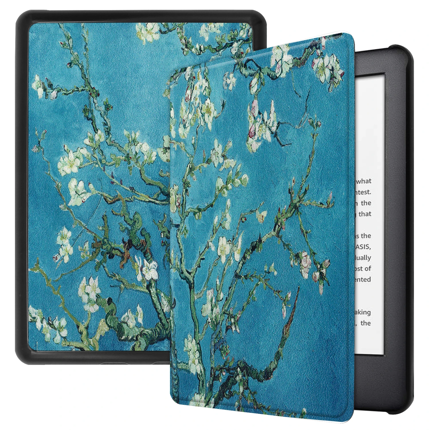 kindle cover.jpg