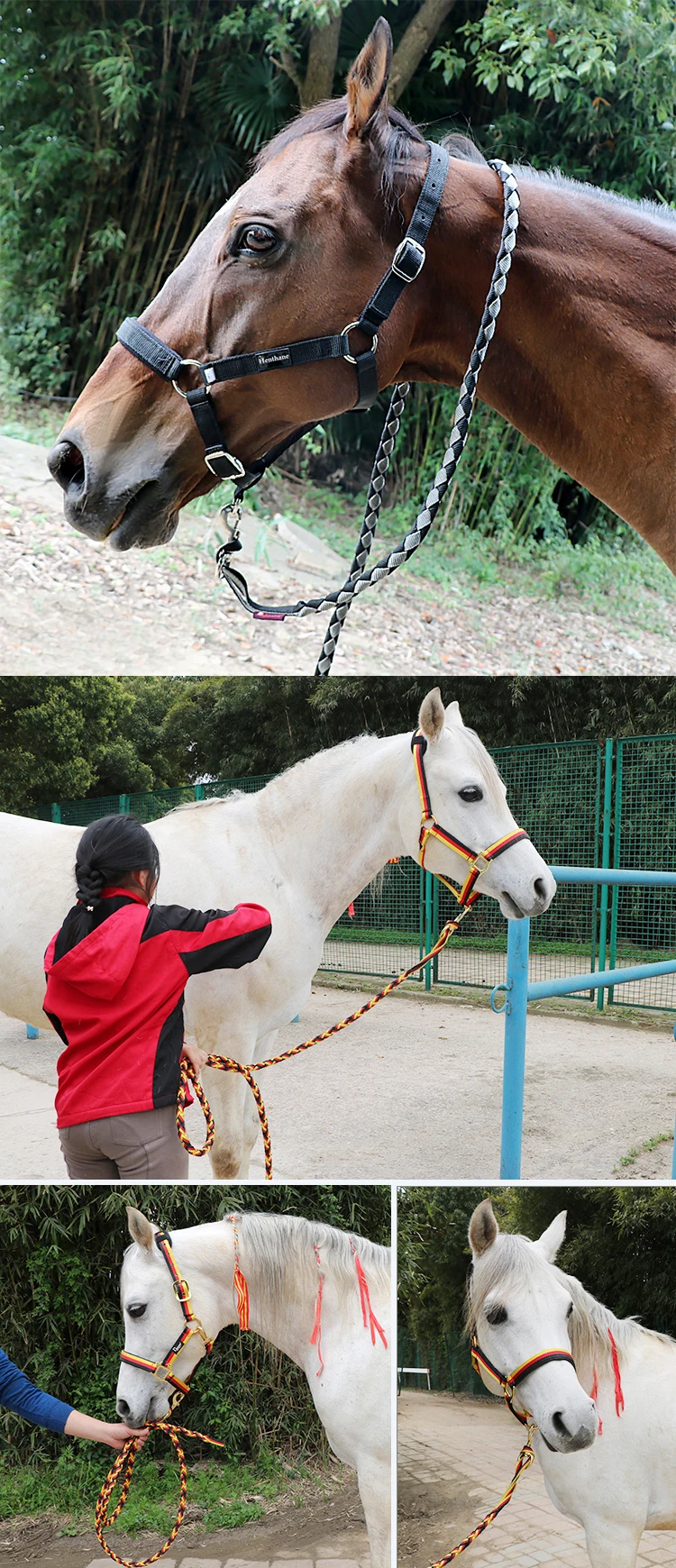 2019 新来港定居人士的高品质织带马术马皮带,批发编织马的缰绳,编织