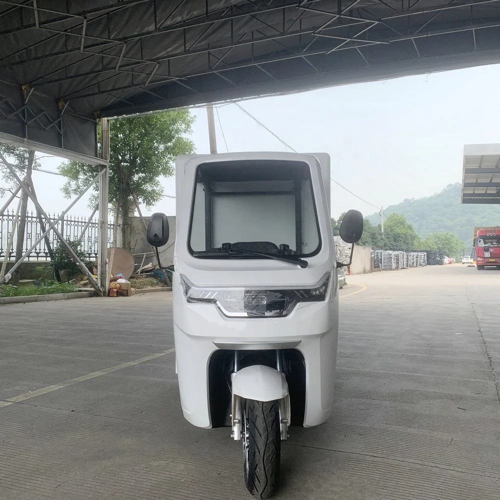 Electric Rickshaw Cargo Electric Tricycle Express Electric Tricycle