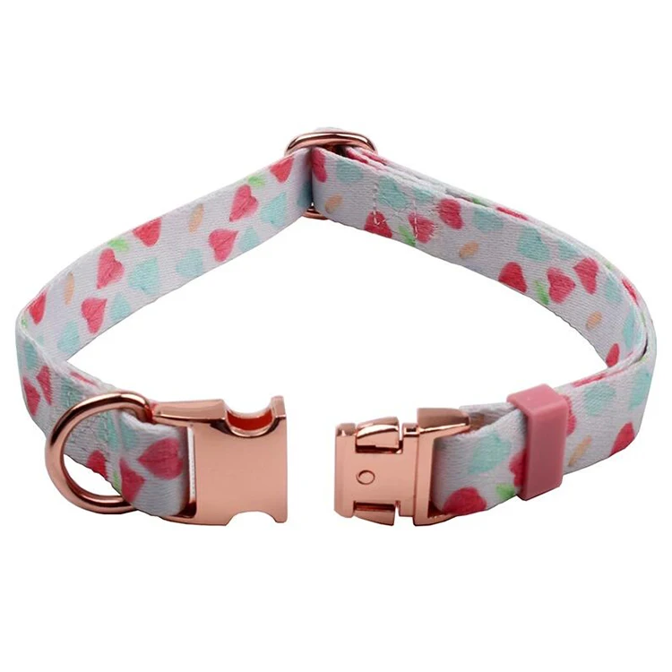Pet Collar-49