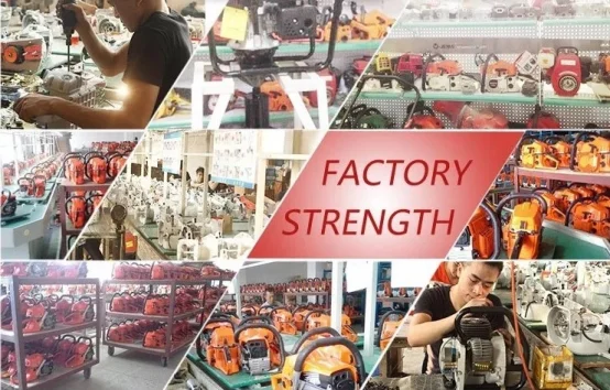 paste-pic-dp_uuid_0dry0