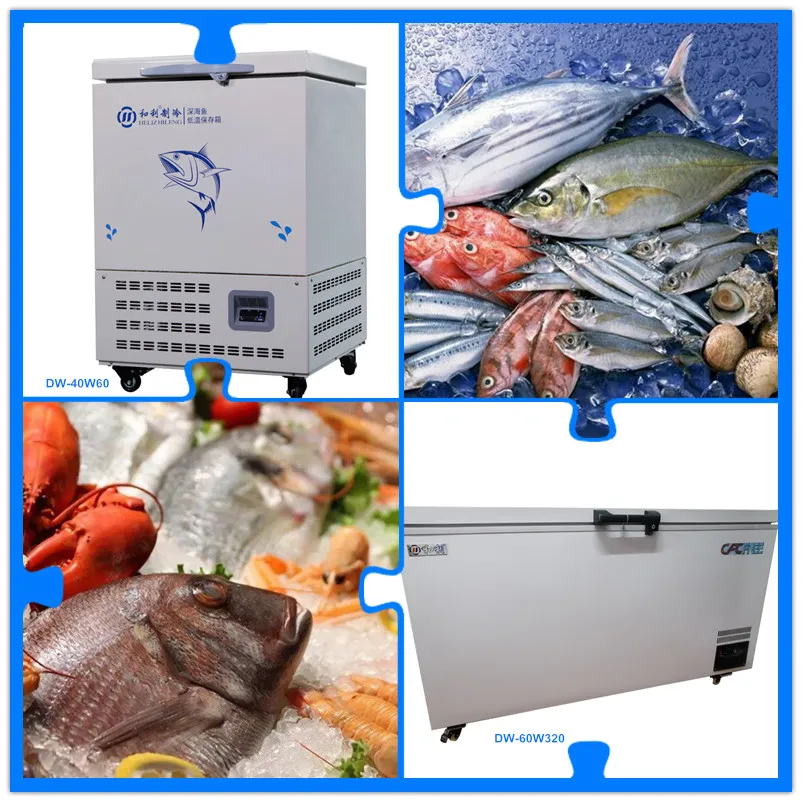 60l Ultra Low Temperature Commercial Fish Freezers For Deepsea Fish