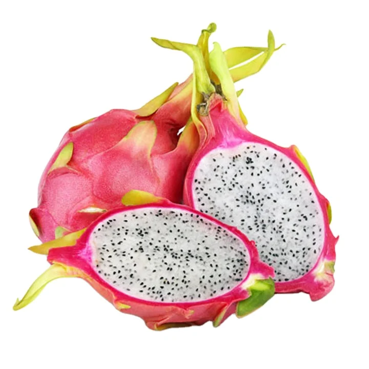 Fresh Dragon Fruits Good Price Natural Sweet Taste White Dragon