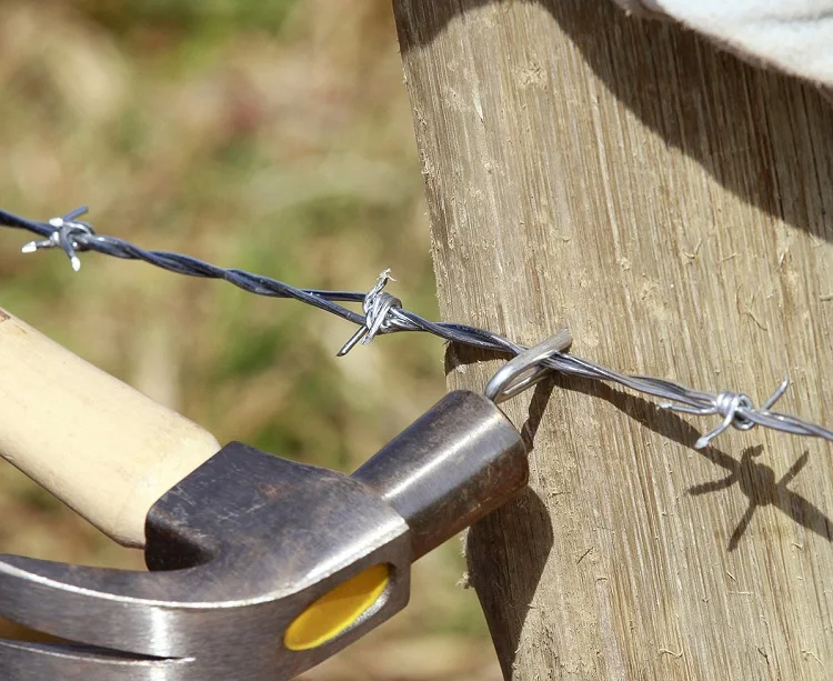 Galvanised U Shape Staples Fencing Netting Galvanized Barbed Wire U