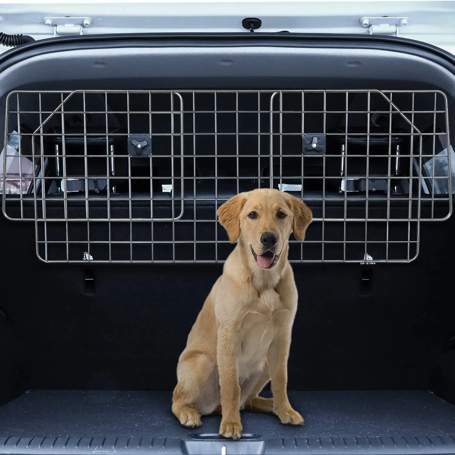 dog vehicle gate