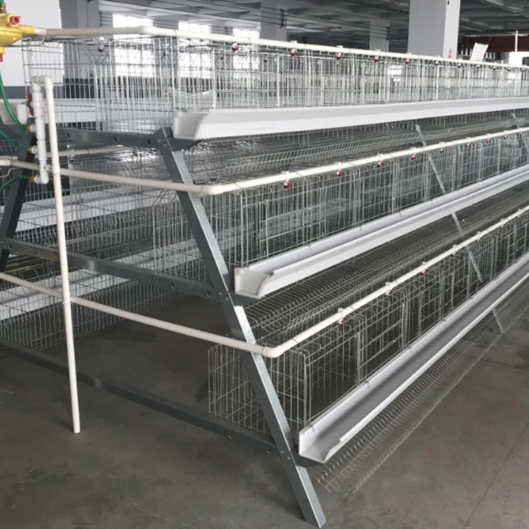 High Quality Chicken Cage For Sale - Buy Chicken Cage,Layer Cage,Cages ...