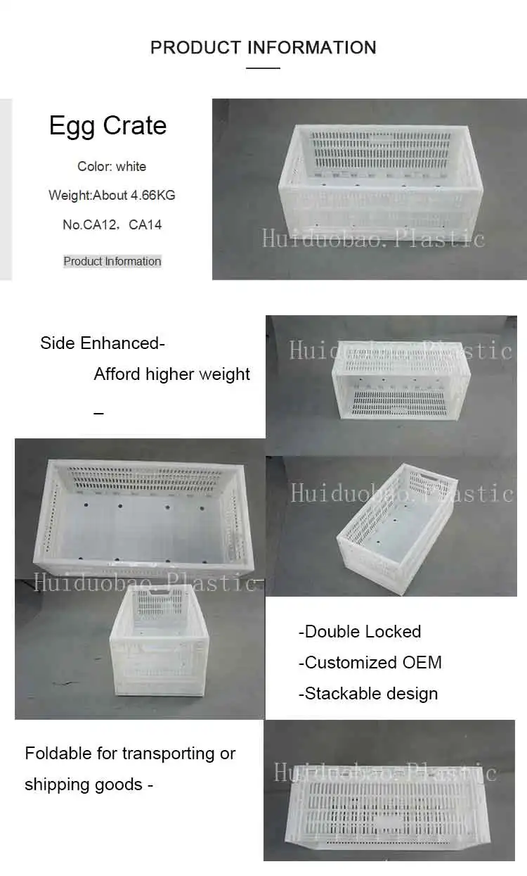 Folding Sheets Packing Pvc Plastic Egg Crate Buy Folding Egg Crate