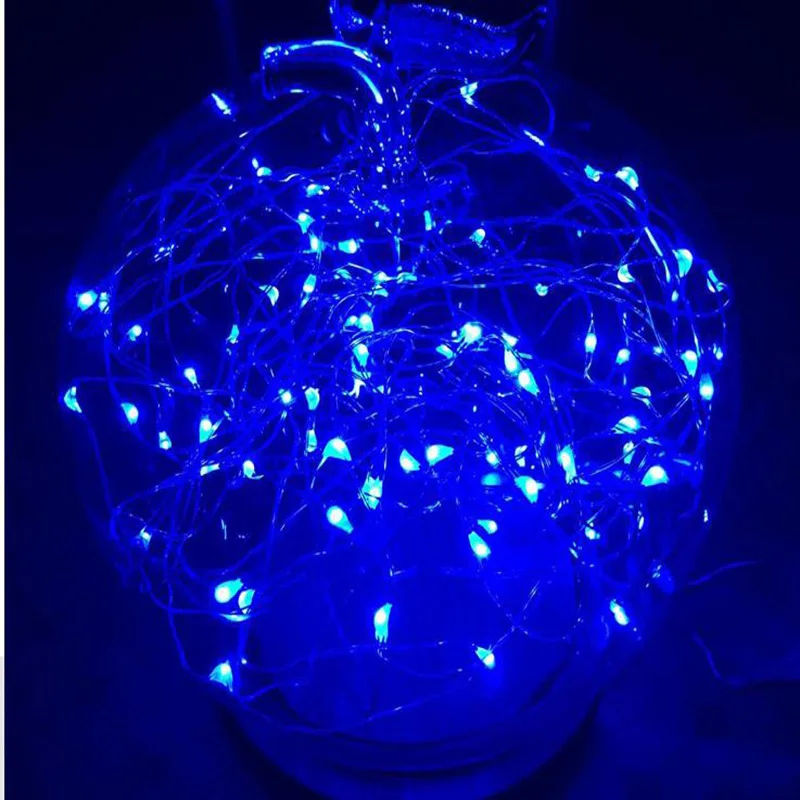 LED String Light (18).jpg