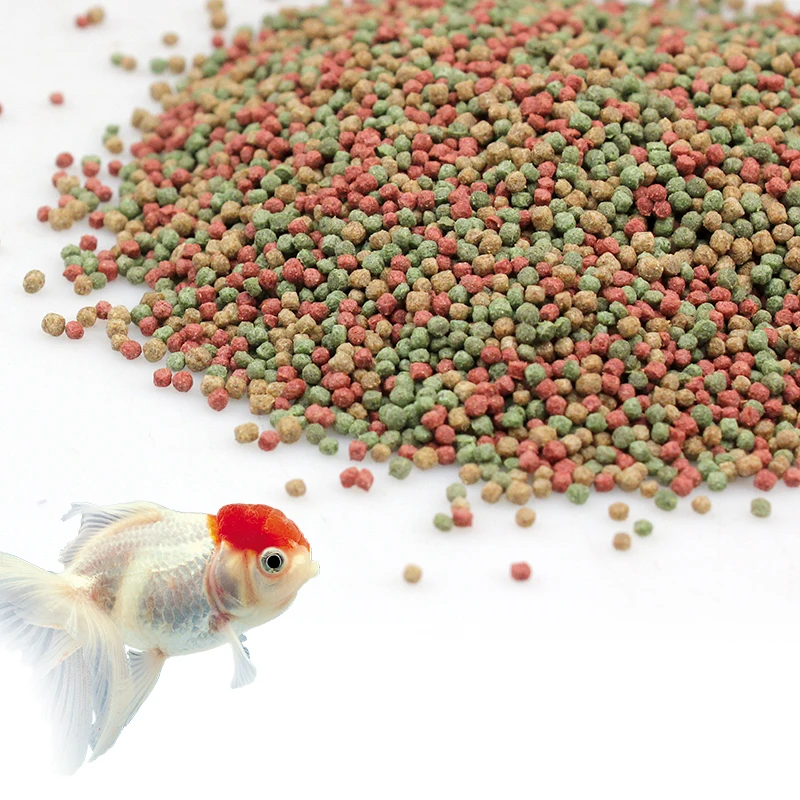 ornamental fish feed