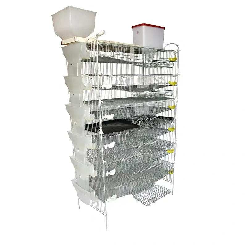 Automatic Design Layer Quail Cages / Commercial Quail Layer Cage Buy