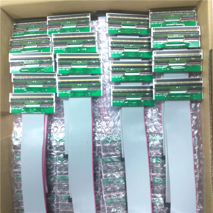 CAS500012.jpg