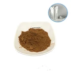Wholesales Best Quality Black Ginger Root Extract